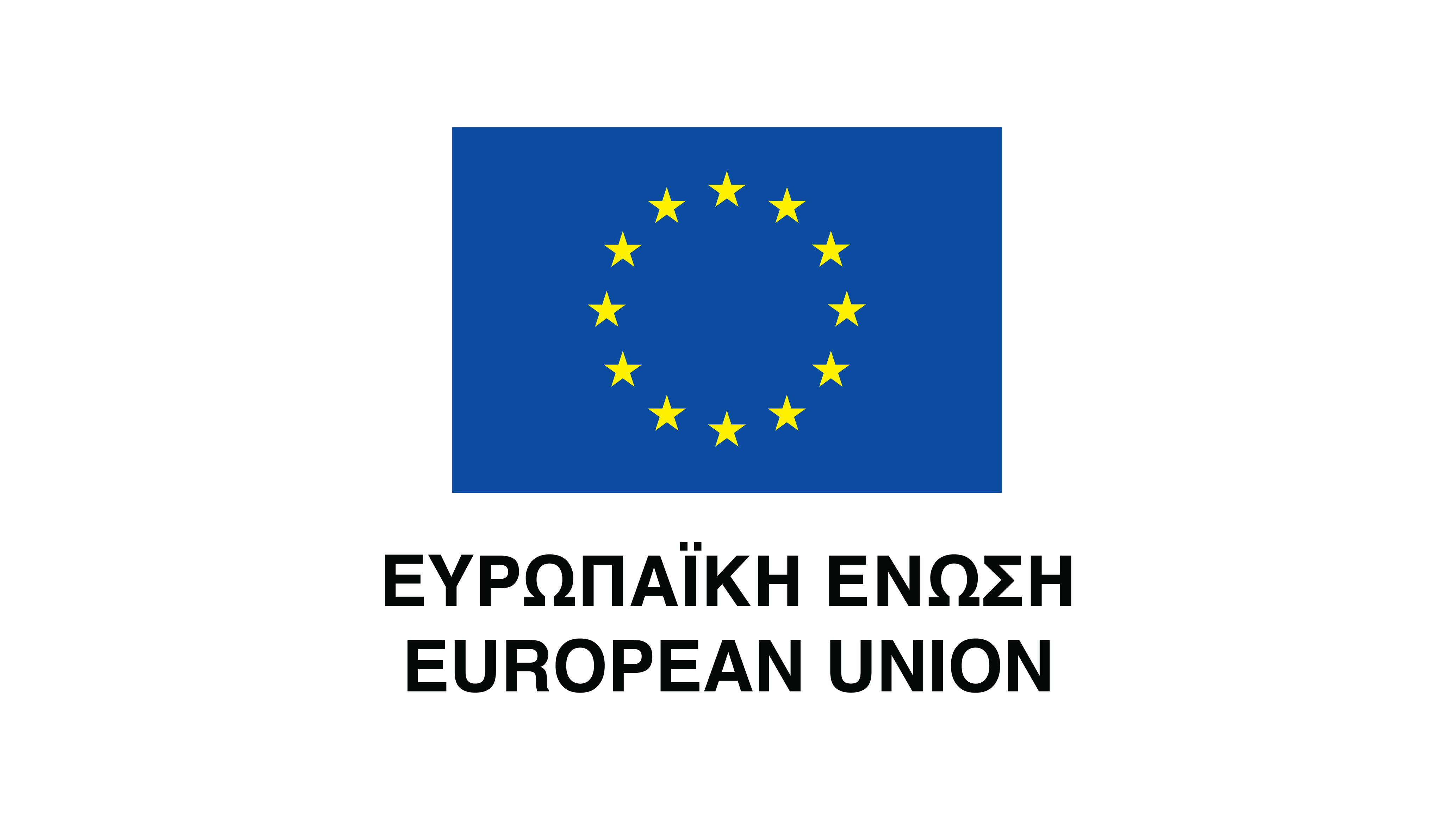 EU Logo